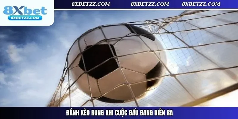 Đánh kèo rung khi cuộc đấu đang diễn ra