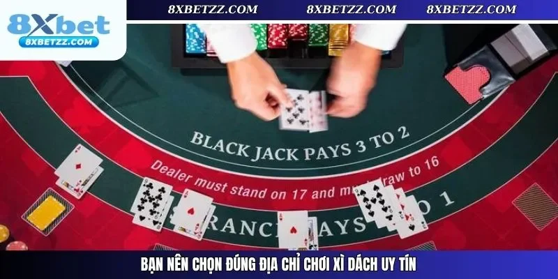 Bạn nên chọn đúng địa chỉ chơi xì dách uy tín